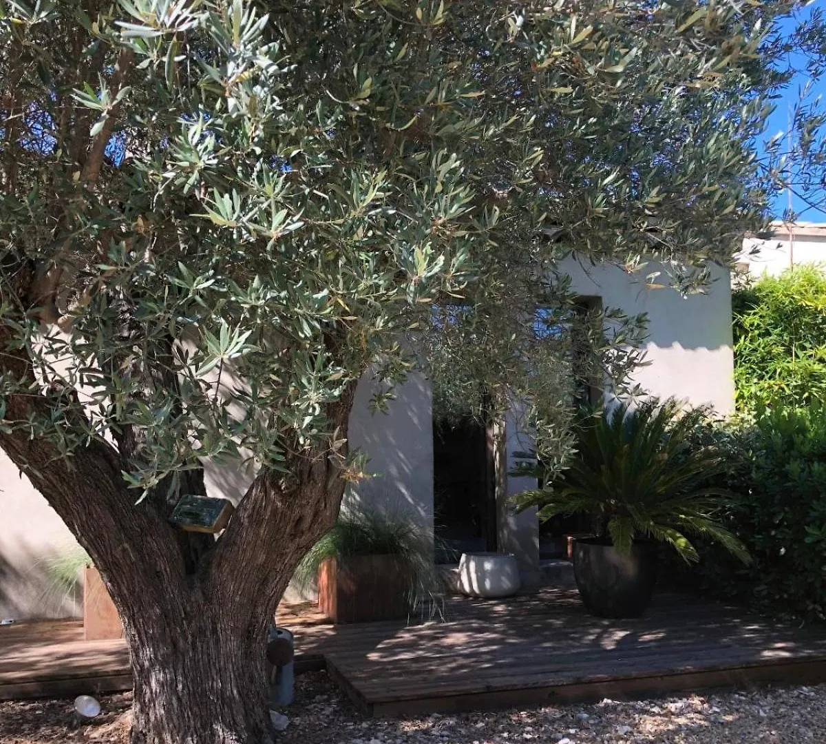 La Matina Family Haven With Olive Garden Oasis Villa Lauris