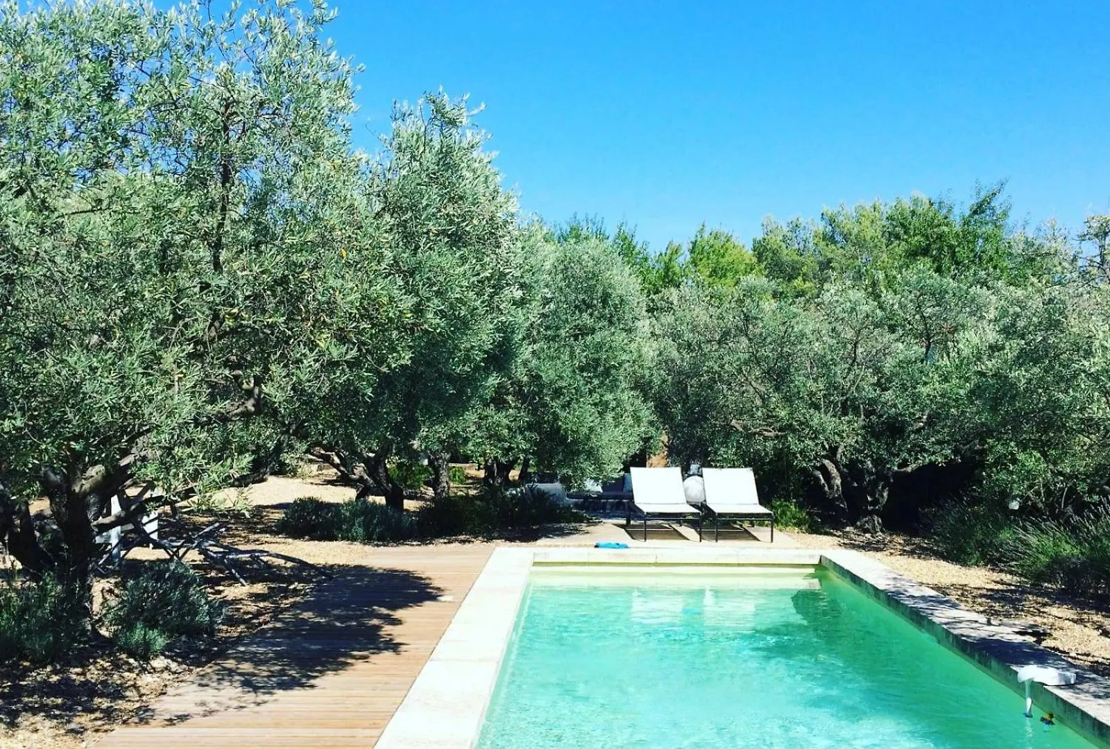 La Matina Family Haven With Olive Garden Oasis Villa Lauris Holiday home